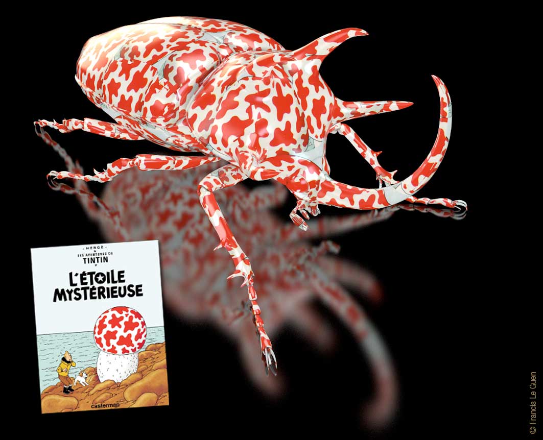 Délires d'insectes en 3D - 3D - volume, espace, surface