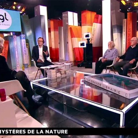 France 5 - La grande librairie - jeudi 24 novembre à 20h45 : les mystères de la nature - Voyages | Plongées - ambiance, perspective, couleur