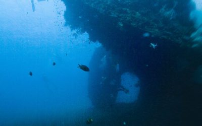 Plongez sur l&rsquo;épave USAT Liberty à Bali avec TripAdekua