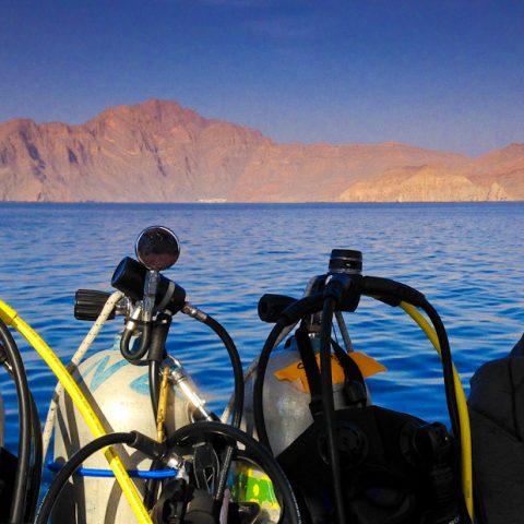 TripAdekua : Oman, ça vous nudibranche ? - Voyages | Plongées - perspective, netteté, forme