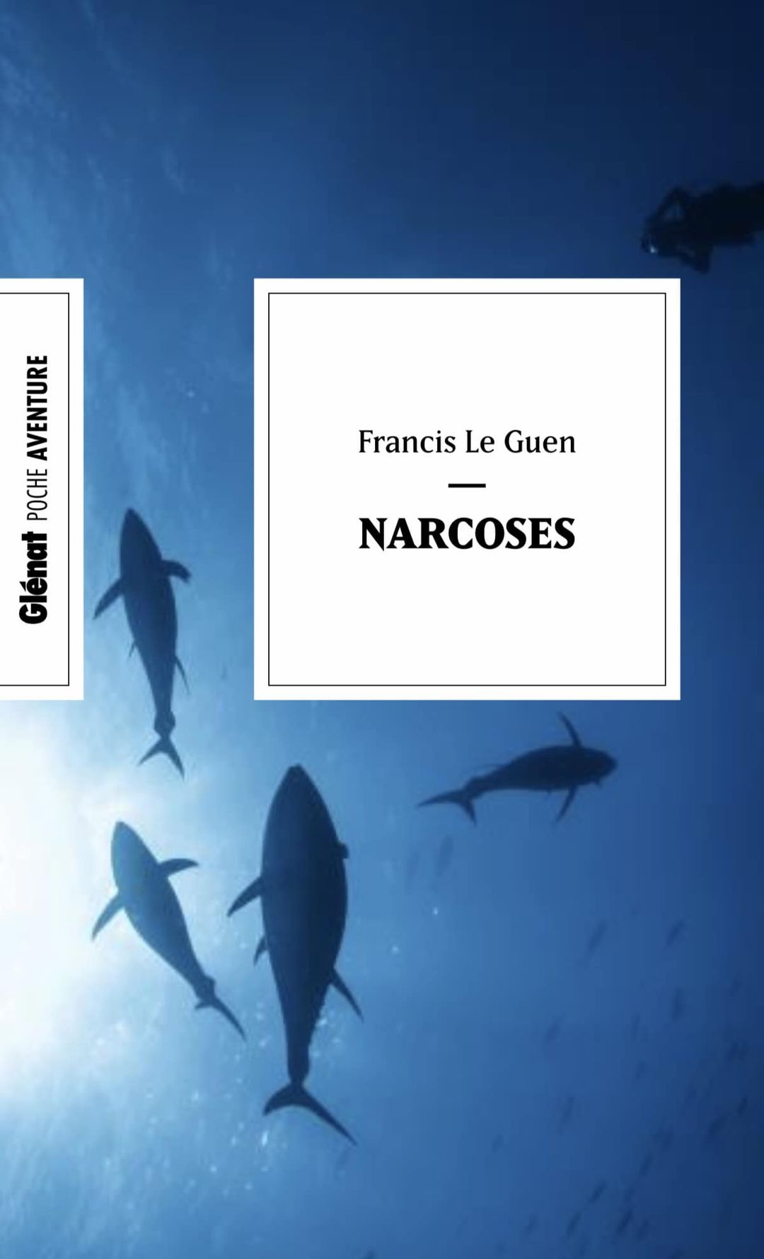 Narcoses - Non classé - Francis Le Guen