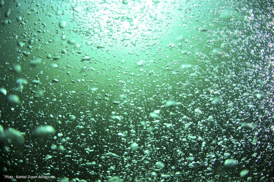 Ma première plongée - Mes explorations - image, création, capture