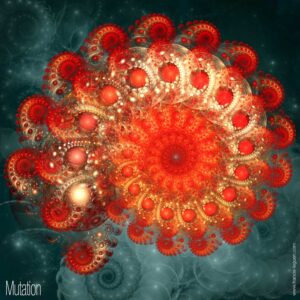 JWildfire : les subflames - Fractales - organique, ensemble, zoom