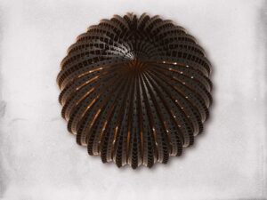 Mandelbulber : et maintenant les shaders ! - Fractales - géométrie, symétrie, zoom