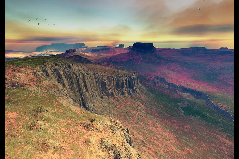 Modéliser la nature : les logiciels 3D