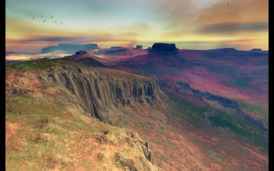 Modéliser la nature : les logiciels 3D