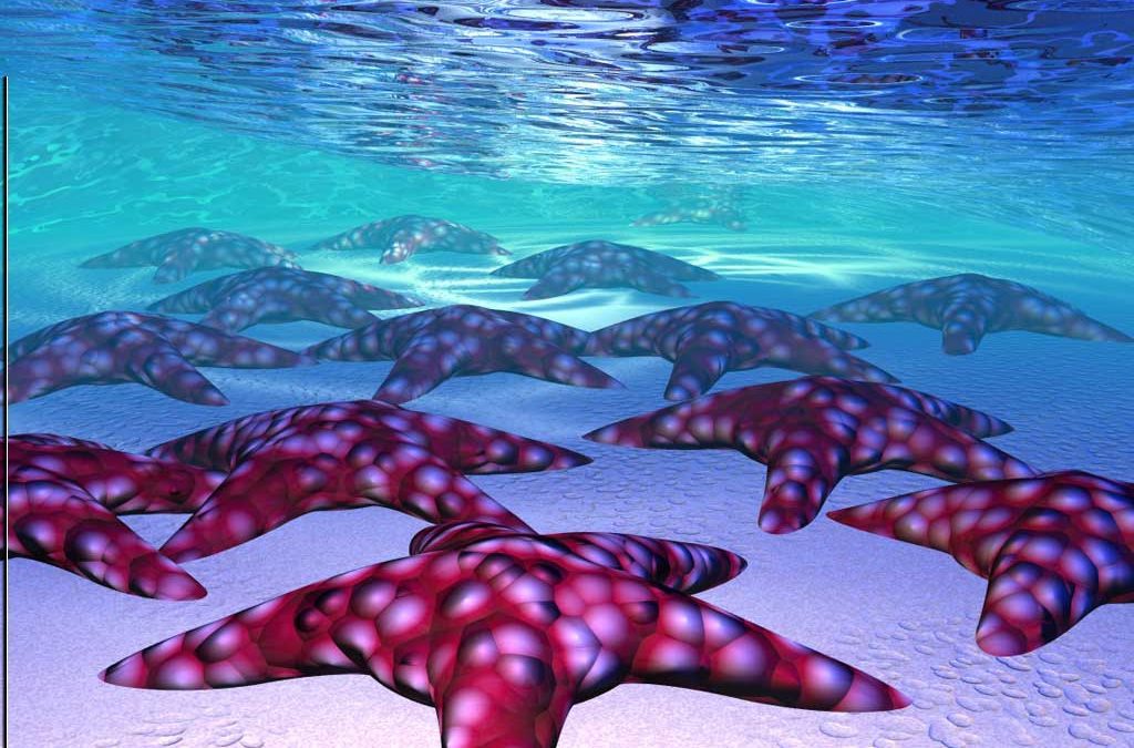 Echinodermeries