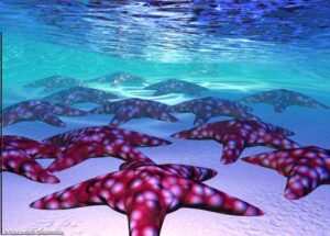 Les terrains fractals de Ken Musgrave - Fractales - symétrie, infini, zoom