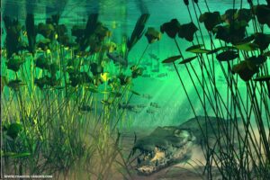 Les terrains fractals de Ken Musgrave - Fractales - symétrie, infini, zoom