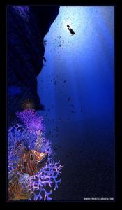 Les terrains fractals de Ken Musgrave - Fractales - symétrie, infini, zoom