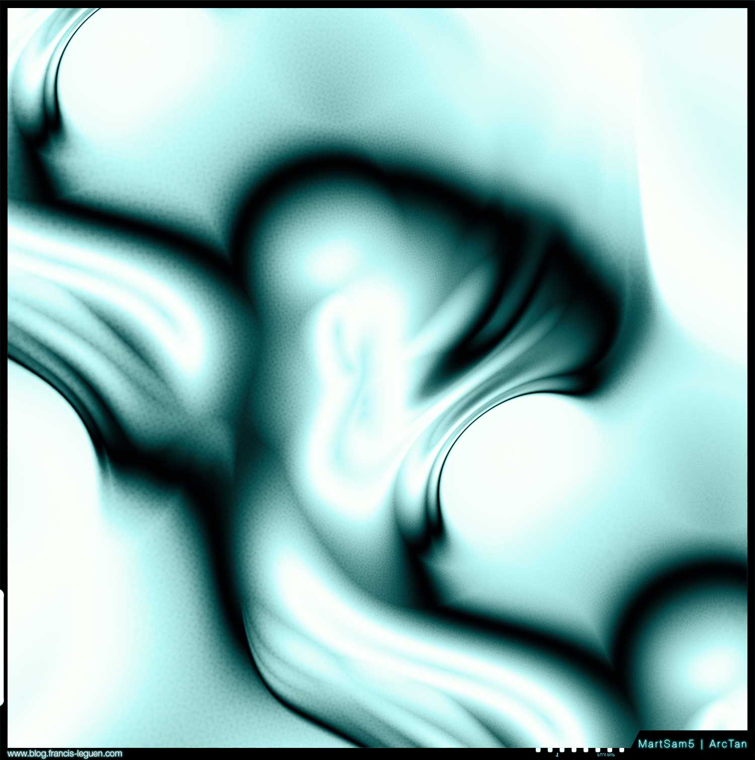 Le Nec plus Ultrafractal - Fractales - symétrie, infini, répétition
