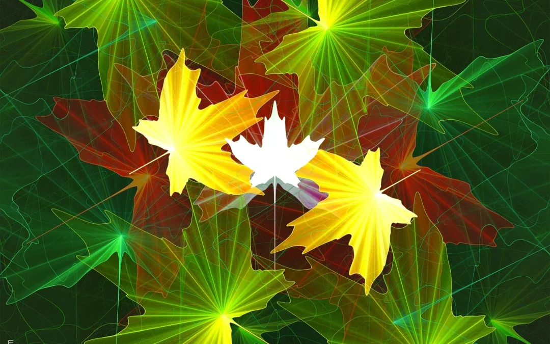 JWildfire 7