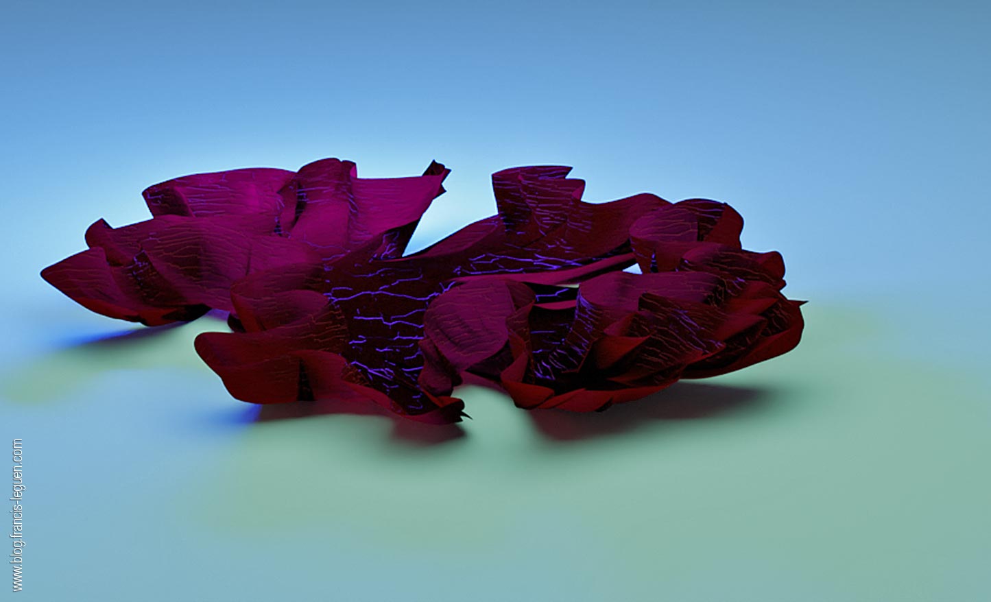 Blender : modéliser les algues et les lichens - 3D - 3D, rendu, rotation