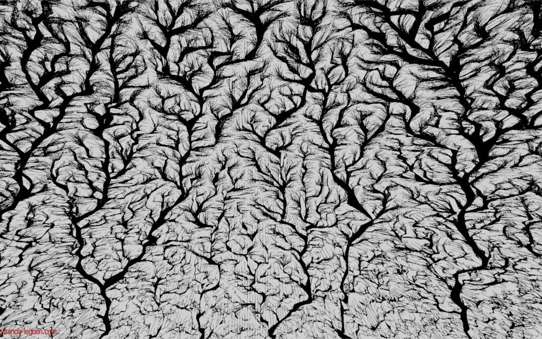 Fractales : des figures de Lichtenberg avec Blender !