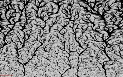 Fractales : des figures de Lichtenberg avec Blender !
