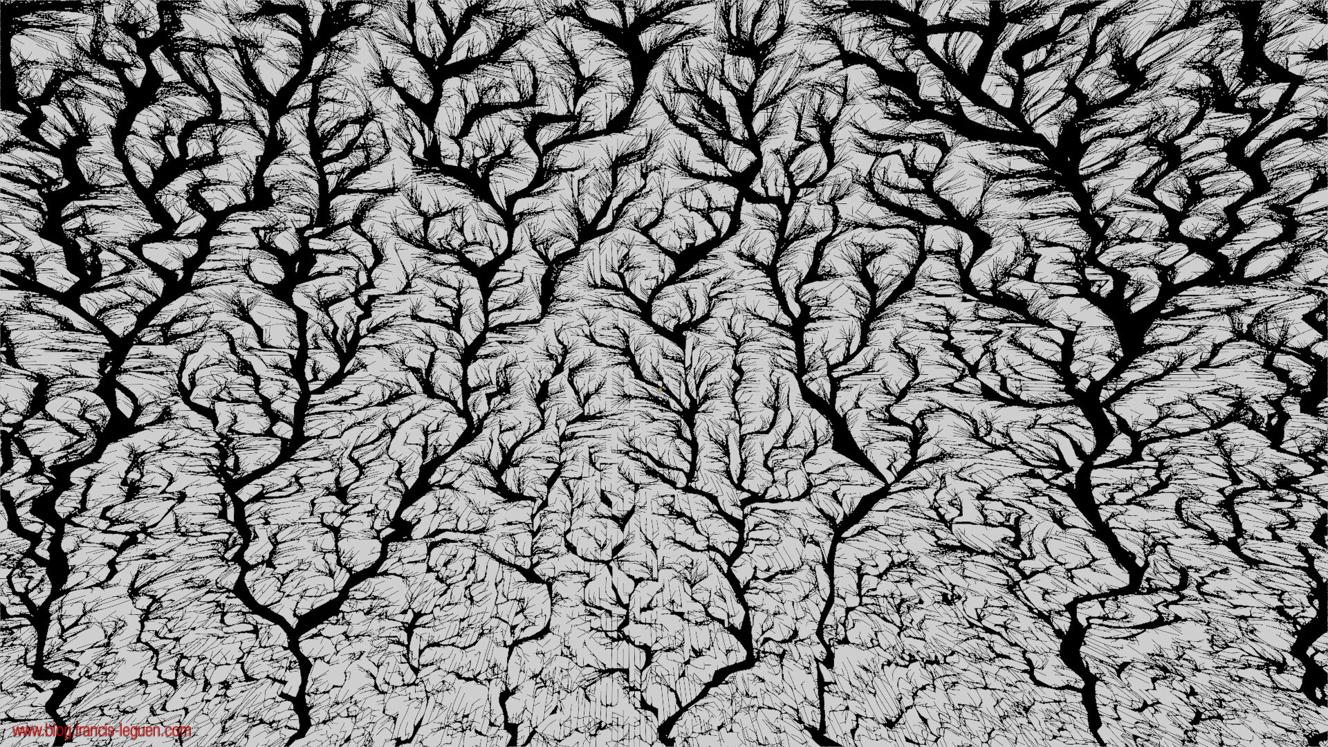 Fractales : des figures de Lichtenberg avec Blender ! - 3D - 3D, modèle, surface