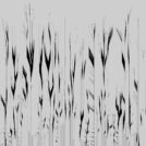 Fractales : des figures de Lichtenberg avec Blender ! - 3D - 3D, modèle, surface