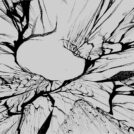 Fractales : des figures de Lichtenberg avec Blender ! - 3D - 3D, modèle, surface