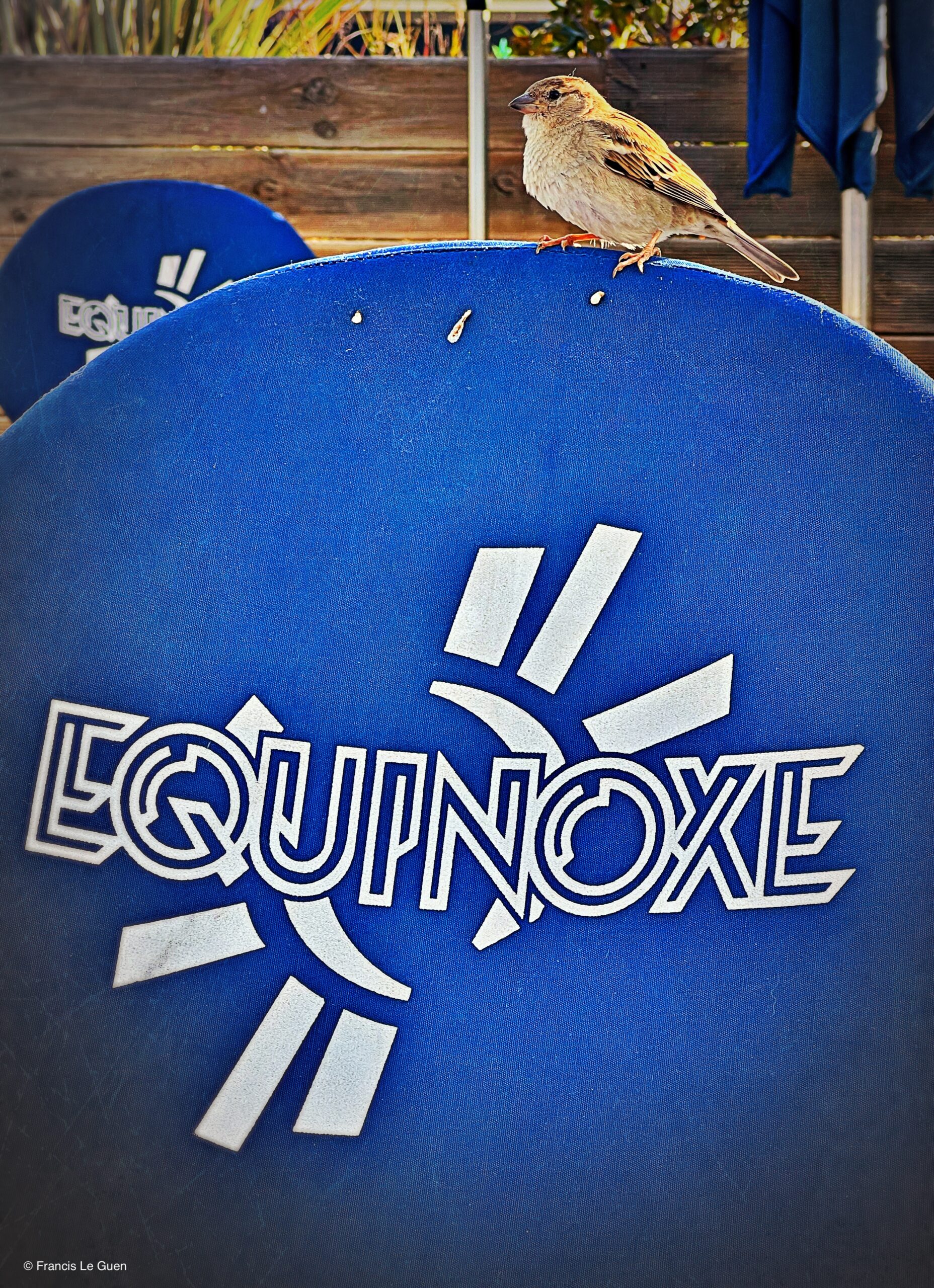 L'Equinoxe - Brasserie - Marseille - sud, corniche, Prado