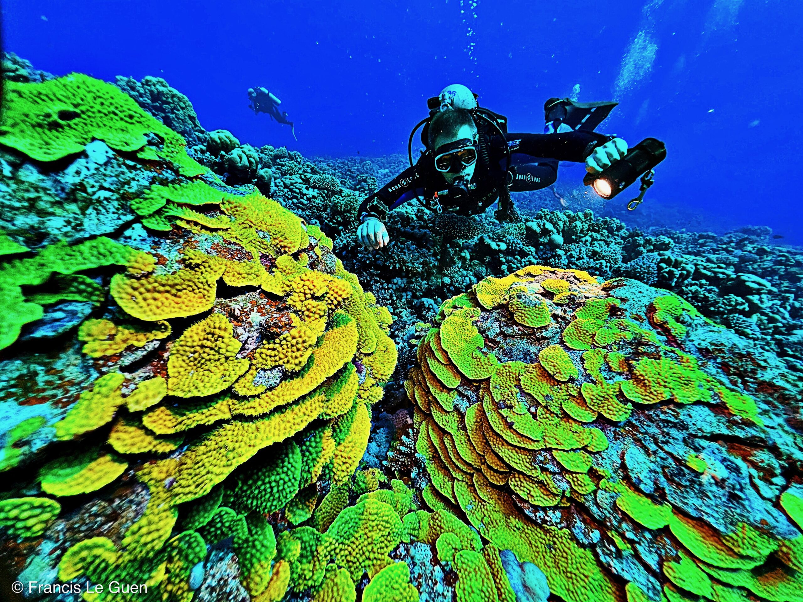 Wonderful Dive : nouveau centre de plongée francophone à Port Ghalib en Egypte - Egypte - image, création, netteté