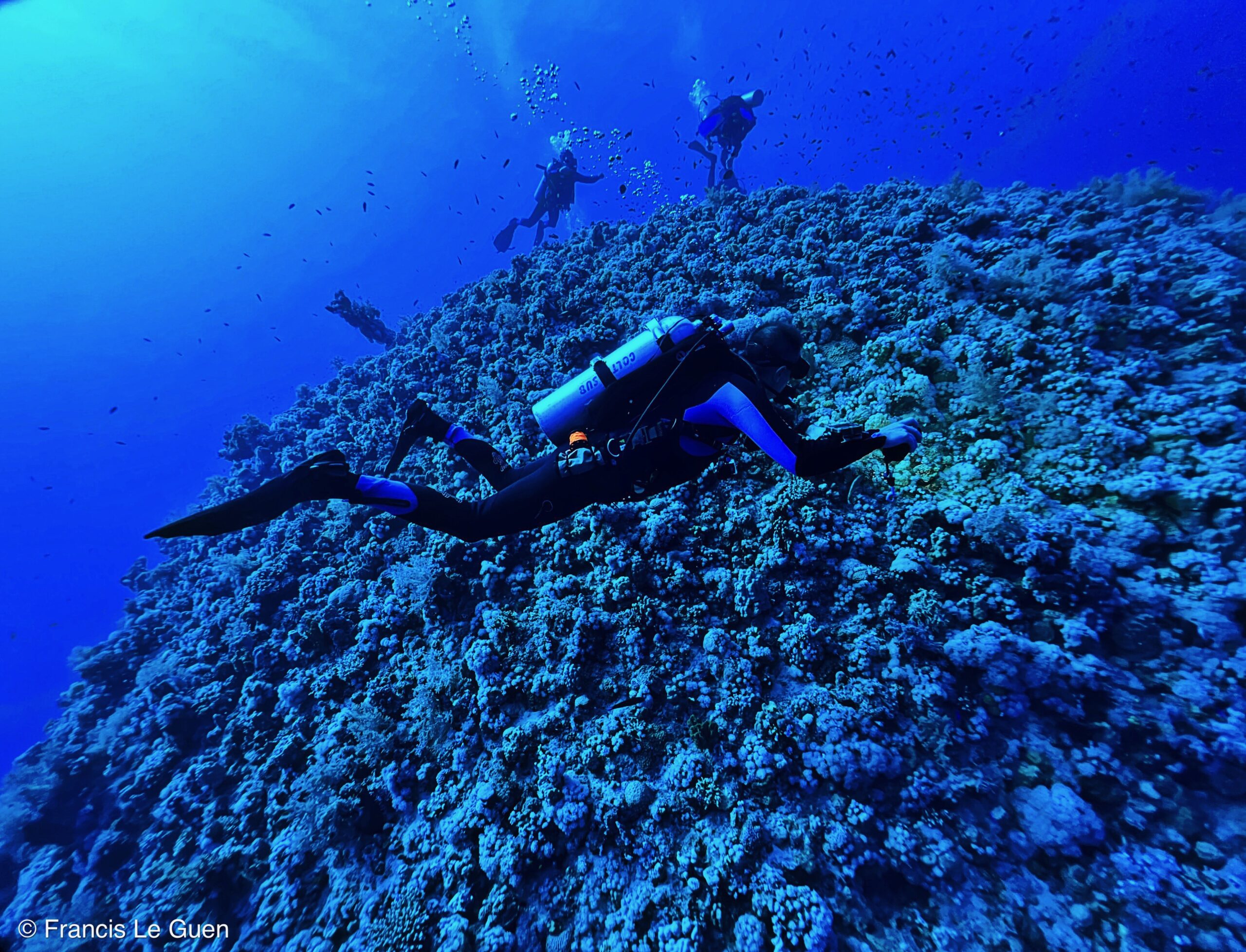 Wonderful Dive : nouveau centre de plongée francophone à Port Ghalib en Egypte - Egypte - image, création, netteté