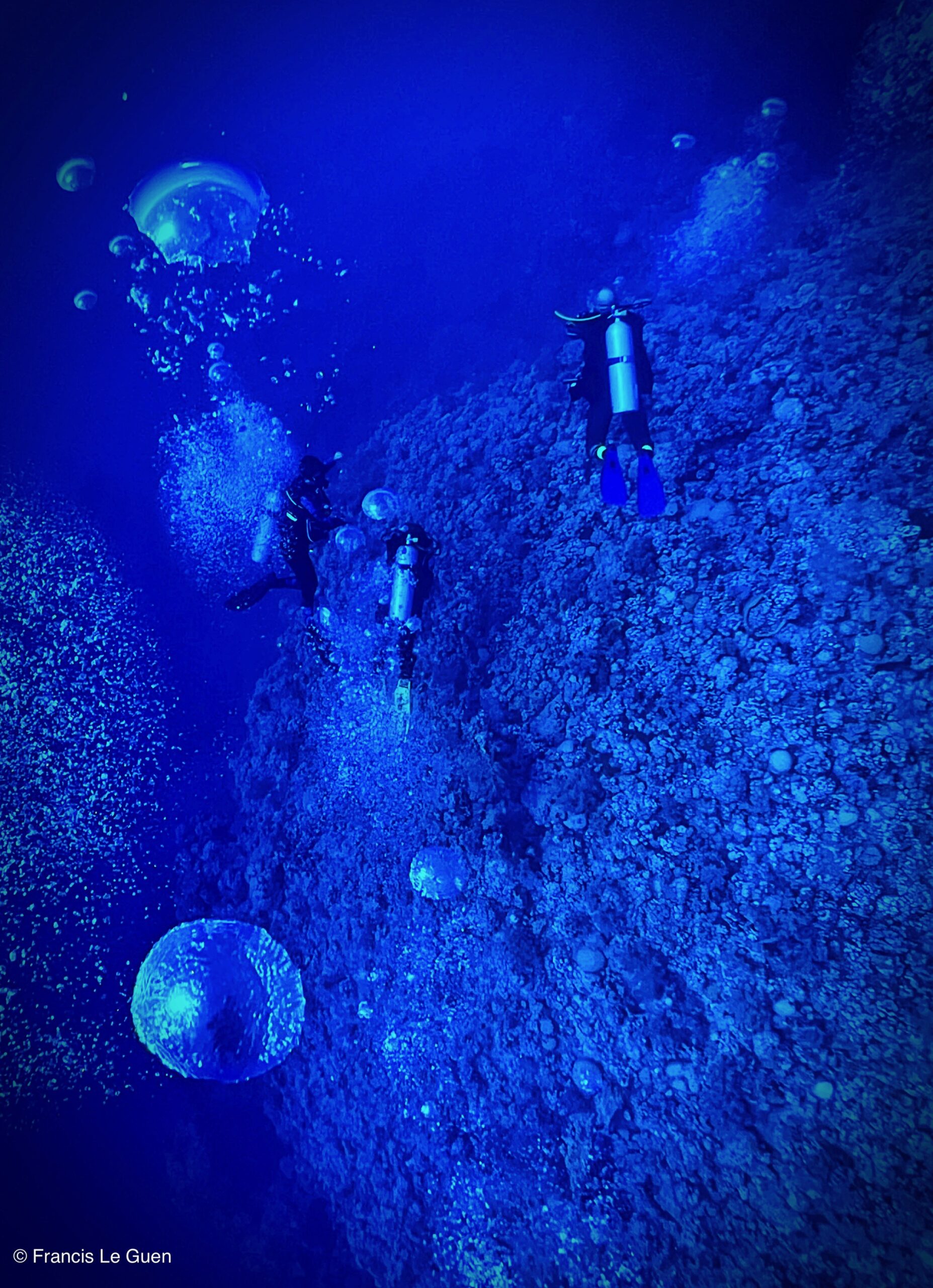 Wonderful Dive : nouveau centre de plongée francophone à Port Ghalib en Egypte - Egypte - image, création, netteté