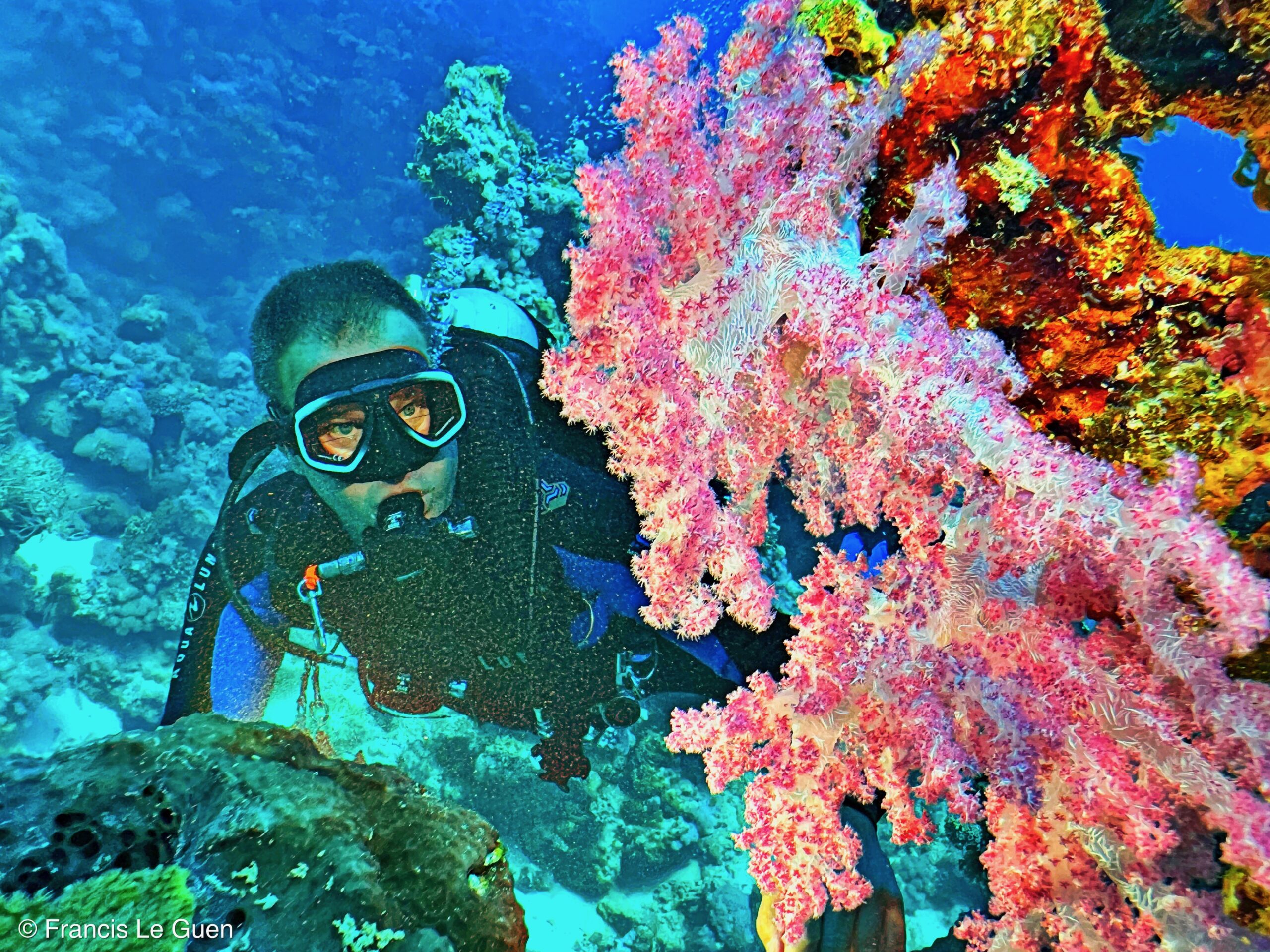 Wonderful Dive : nouveau centre de plongée francophone à Port Ghalib en Egypte - Egypte - image, création, netteté