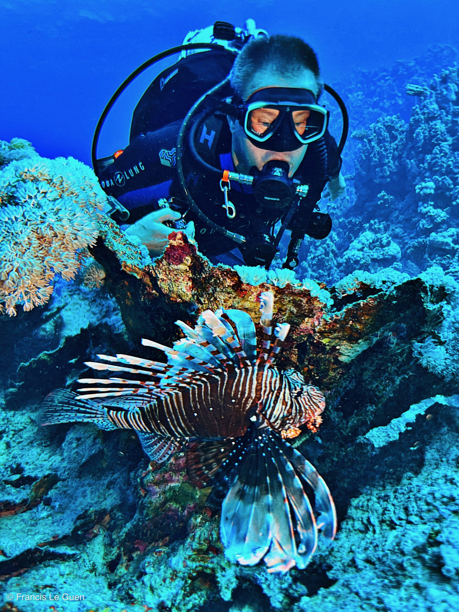 Wonderful Dive : nouveau centre de plongée francophone à Port Ghalib en Egypte - Egypte - image, création, netteté