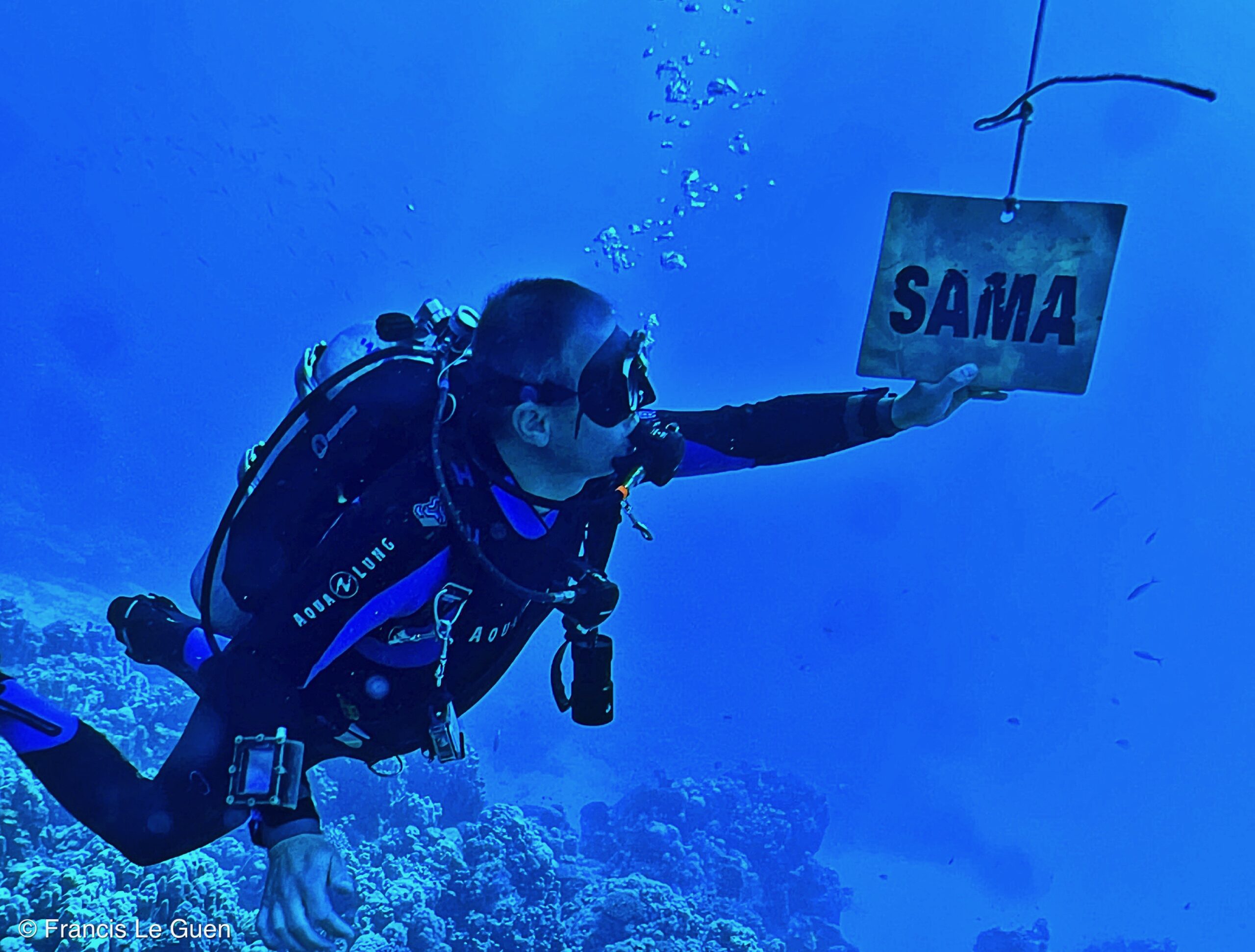 Wonderful Dive : nouveau centre de plongée francophone à Port Ghalib en Egypte - Egypte - image, création, netteté