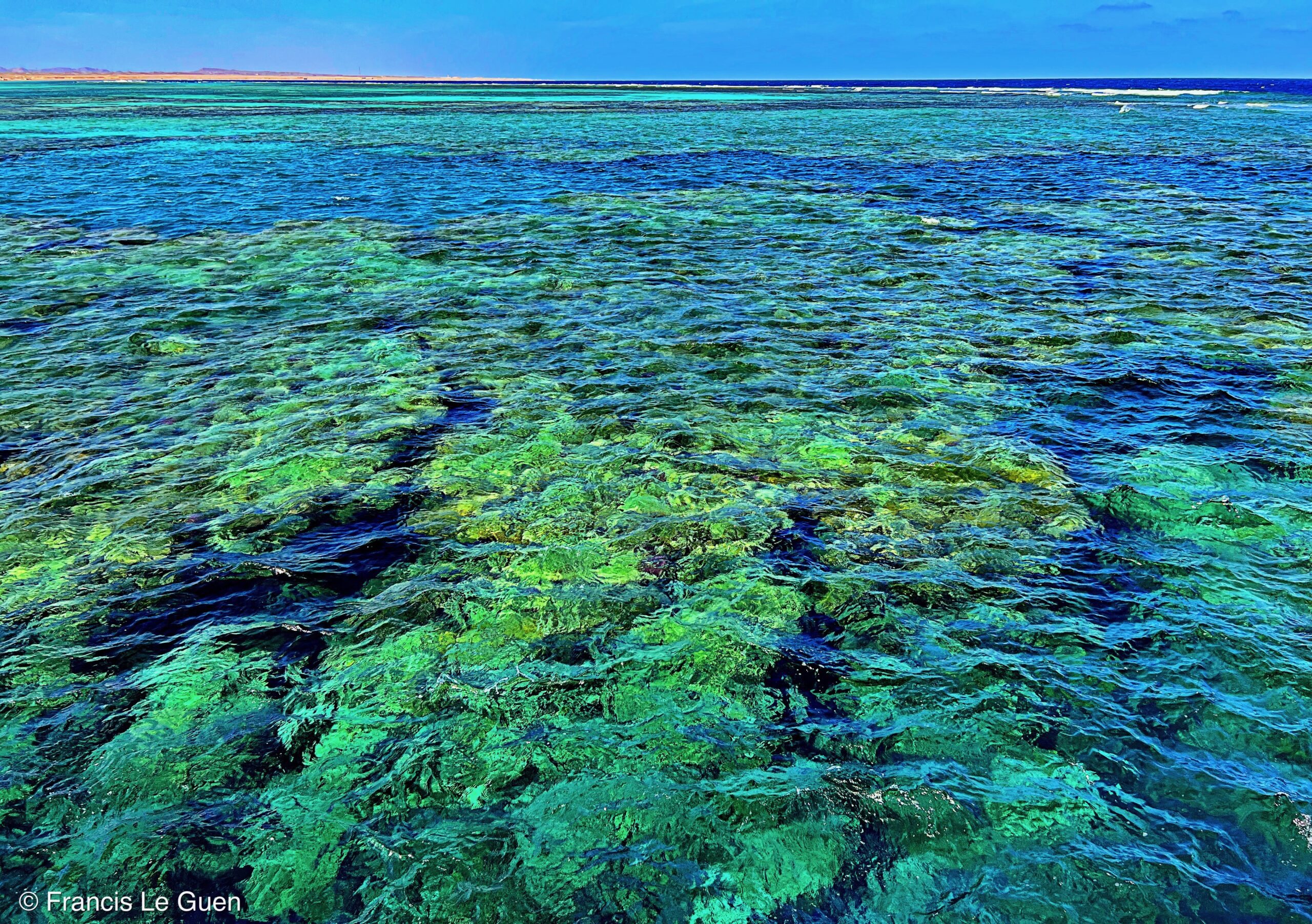 Wonderful Dive : nouveau centre de plongée francophone à Port Ghalib en Egypte - Egypte - image, création, netteté