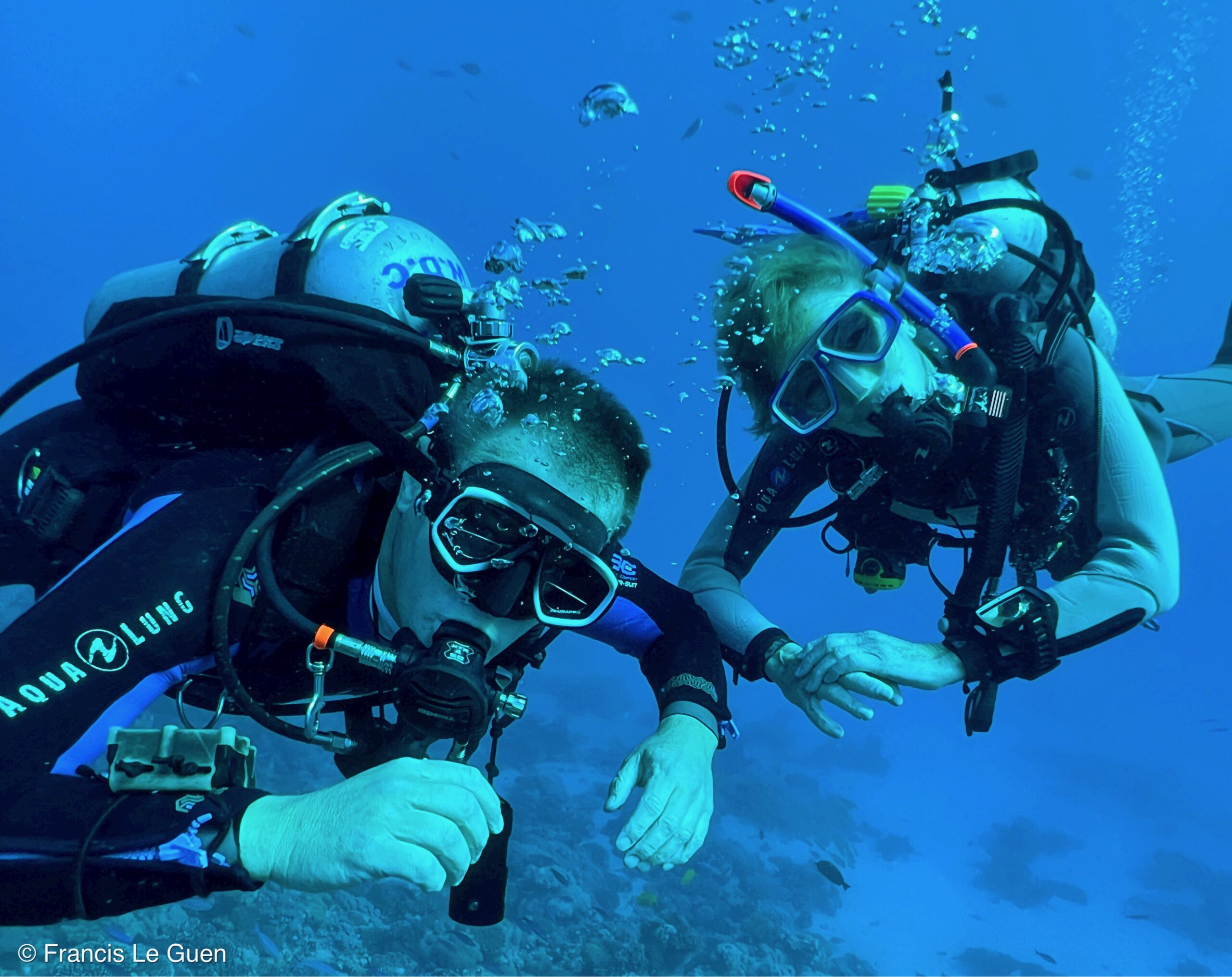 Wonderful Dive : nouveau centre de plongée francophone à Port Ghalib en Egypte - Egypte - image, création, netteté