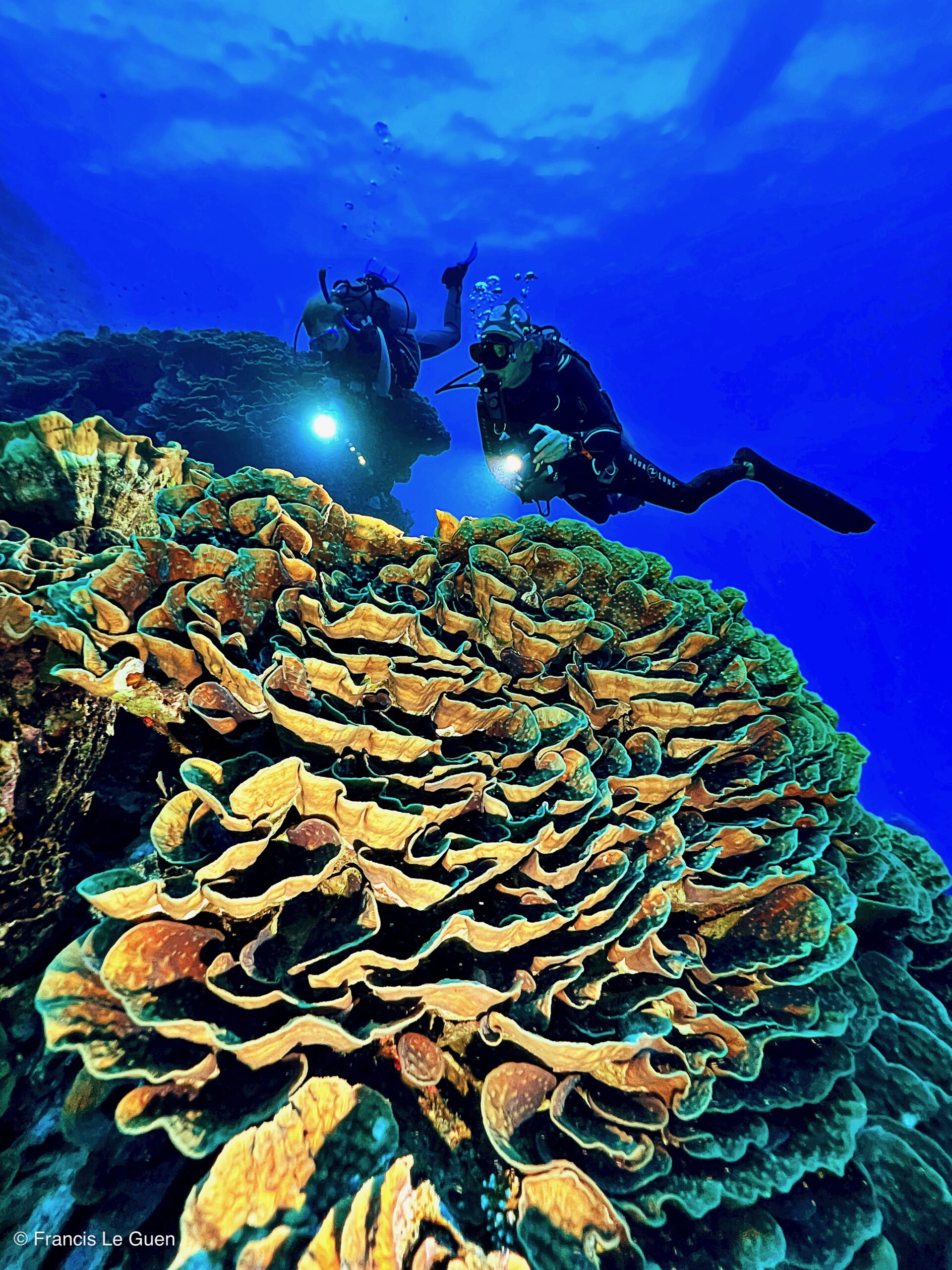Wonderful Dive : Les plongées au Rohanou à El Qseir en Egypte - Egypte - image, détail, perspective
