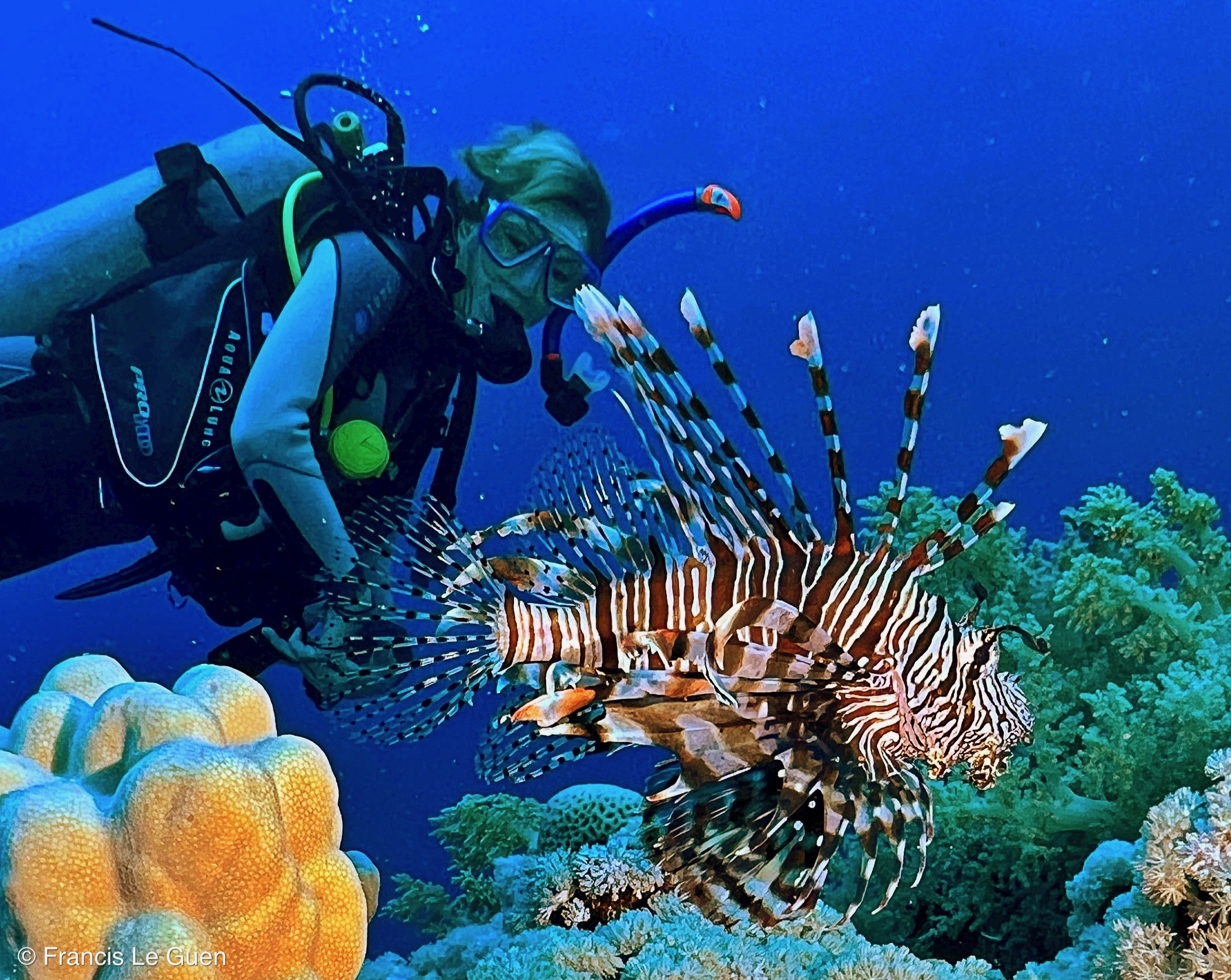 Wonderful Dive : Les plongées au Rohanou à El Qseir en Egypte - Egypte - image, détail, perspective