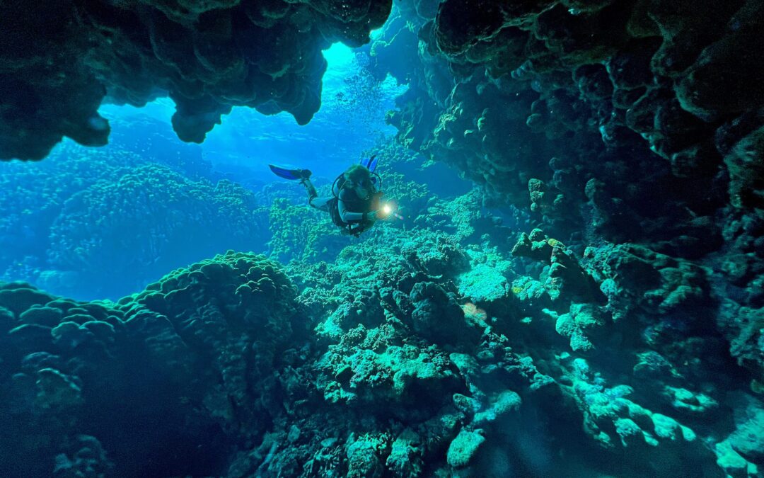 Wonderful Dive : Les plongées au Rohanou à El Qseir en Egypte