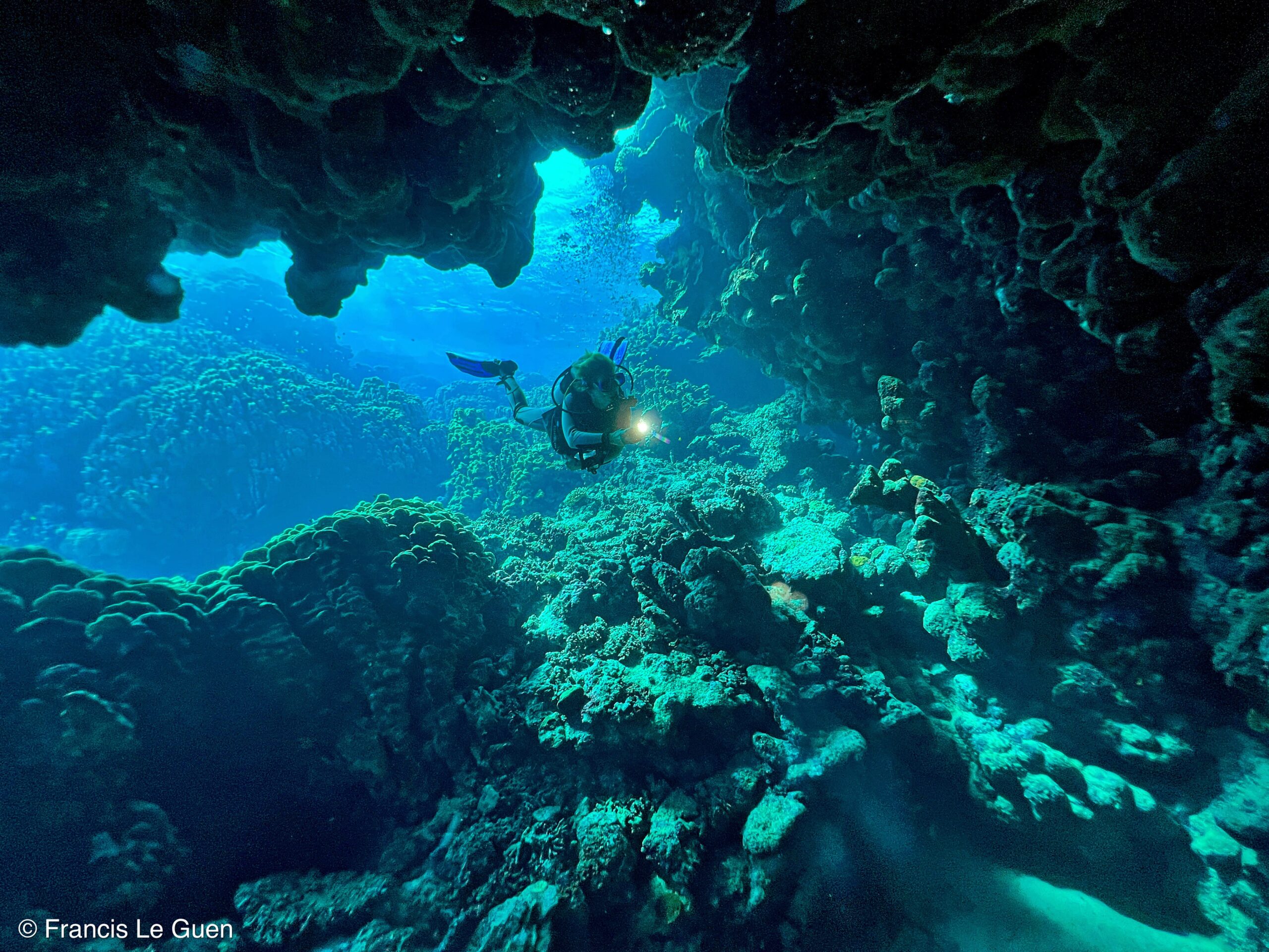 Wonderful Dive : Les plongées au Rohanou à El Qseir en Egypte - Egypte - image, détail, perspective