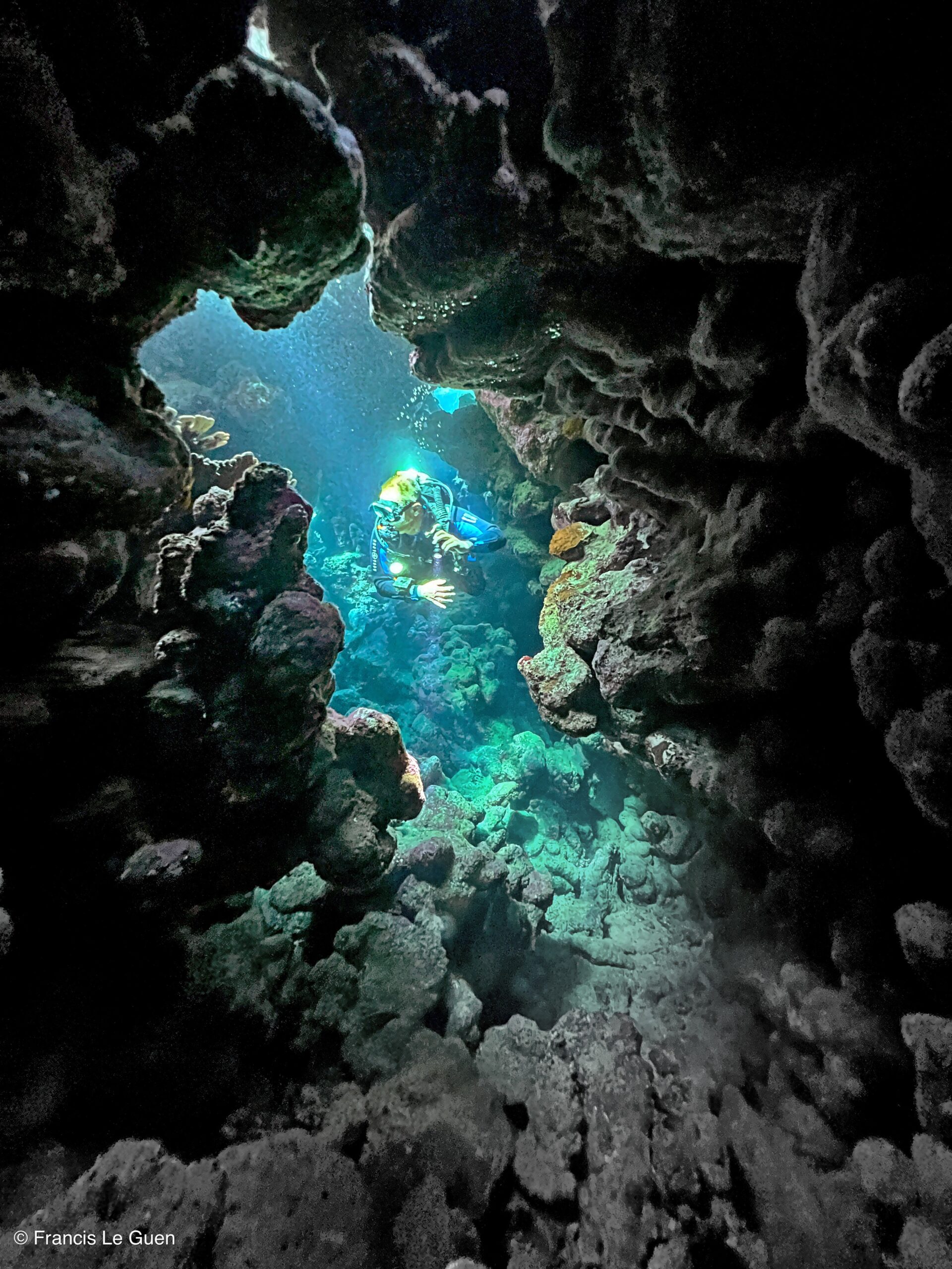 Wonderful Dive : Les plongées au Rohanou à El Qseir en Egypte - Egypte - image, détail, perspective