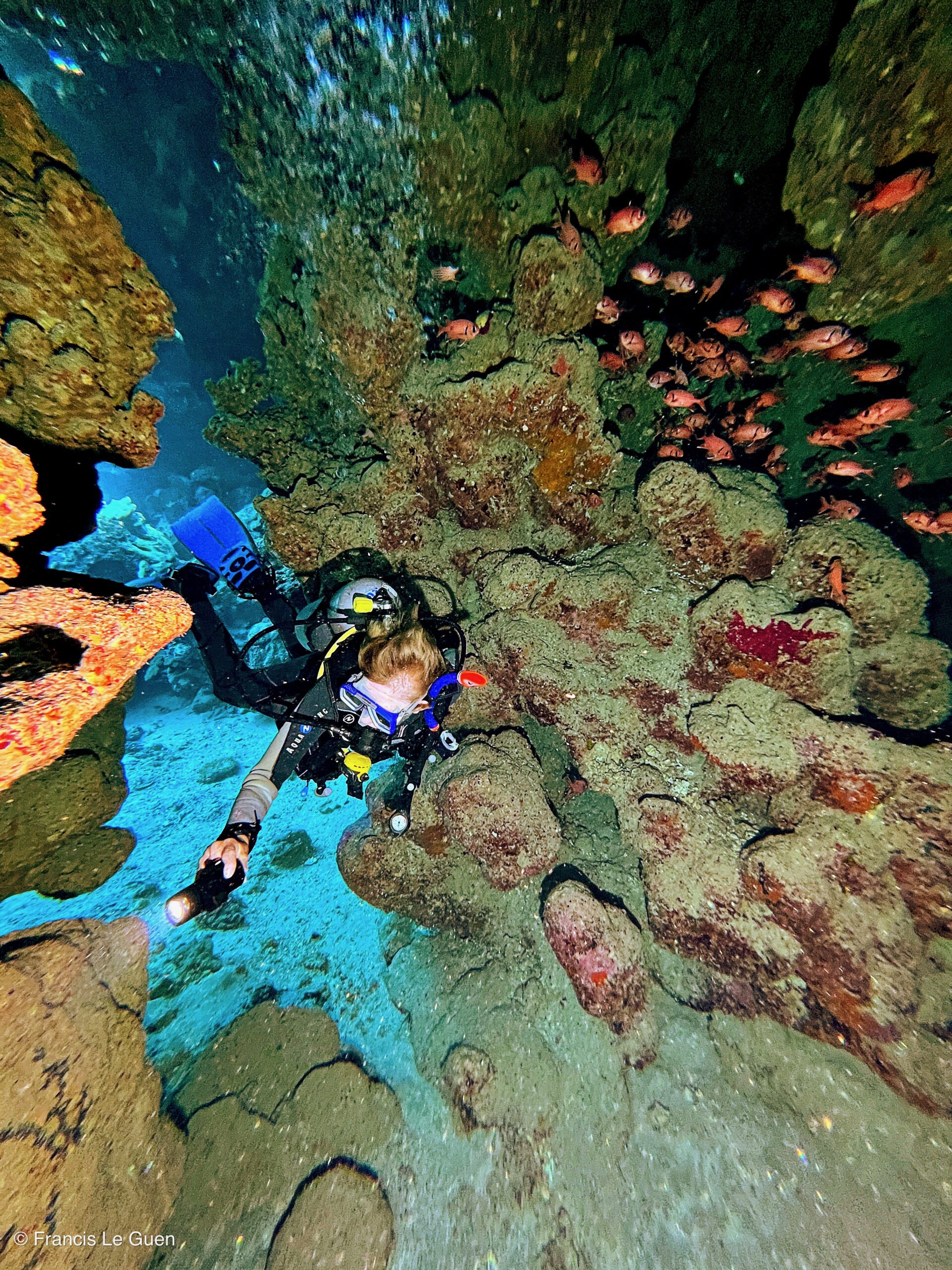 Wonderful Dive : Les plongées au Rohanou à El Qseir en Egypte - Egypte - image, détail, perspective