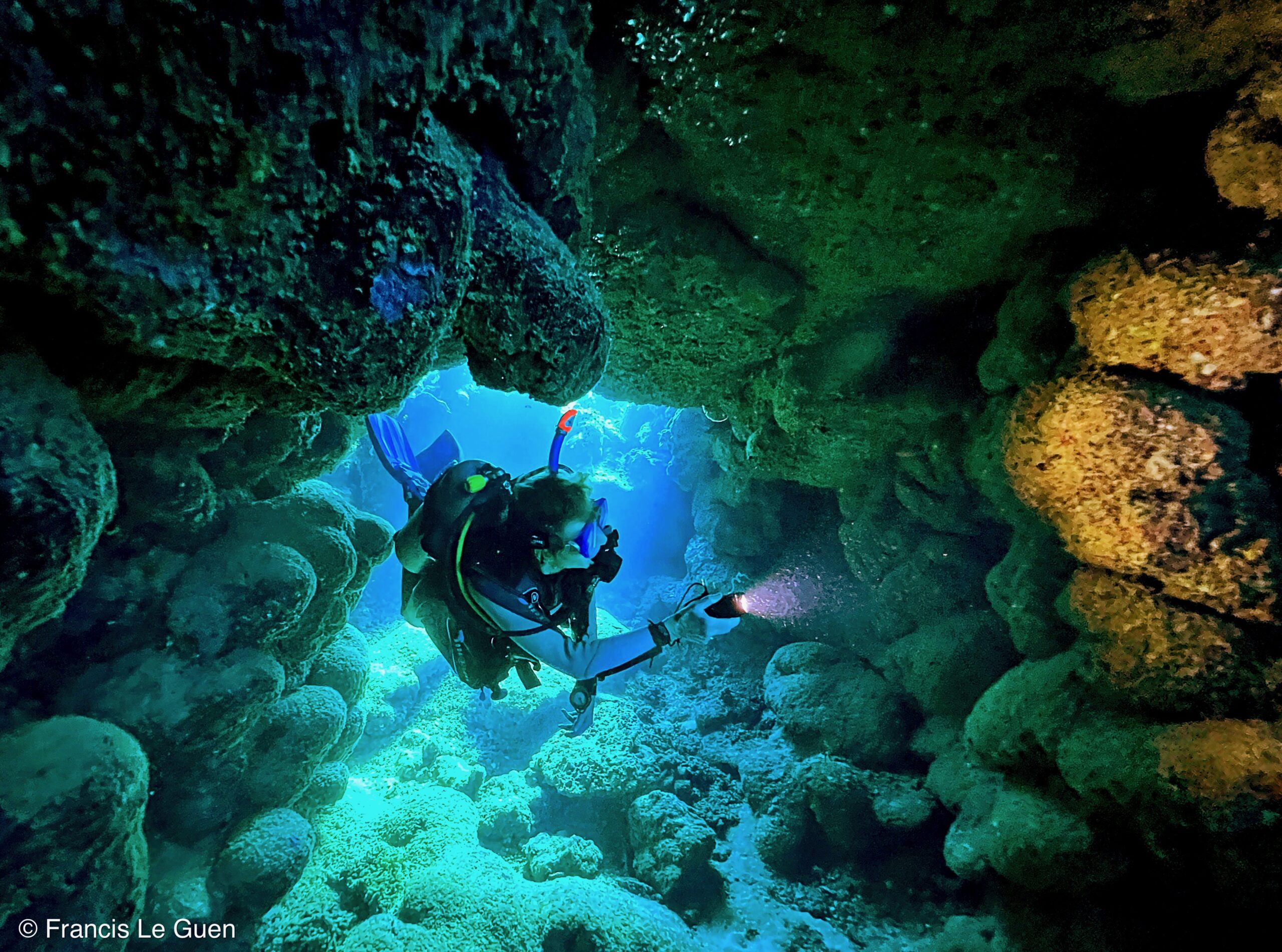 Wonderful Dive : Les plongées au Rohanou à El Qseir en Egypte - Egypte - image, détail, perspective