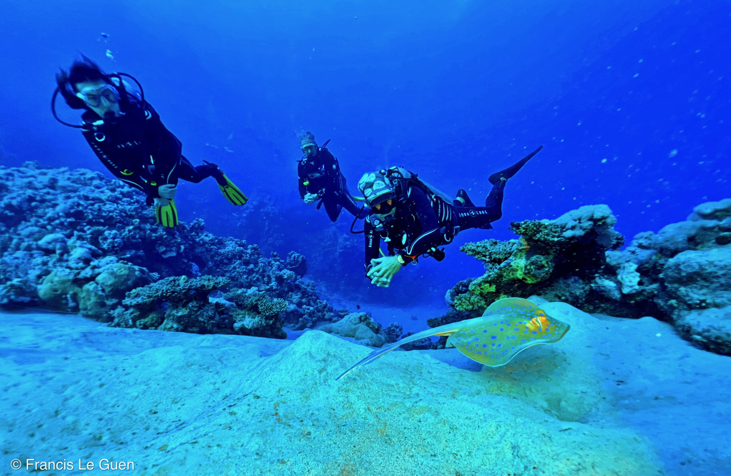 Wonderful Dive : Les plongées au Rohanou à El Qseir en Egypte - Egypte - image, détail, perspective