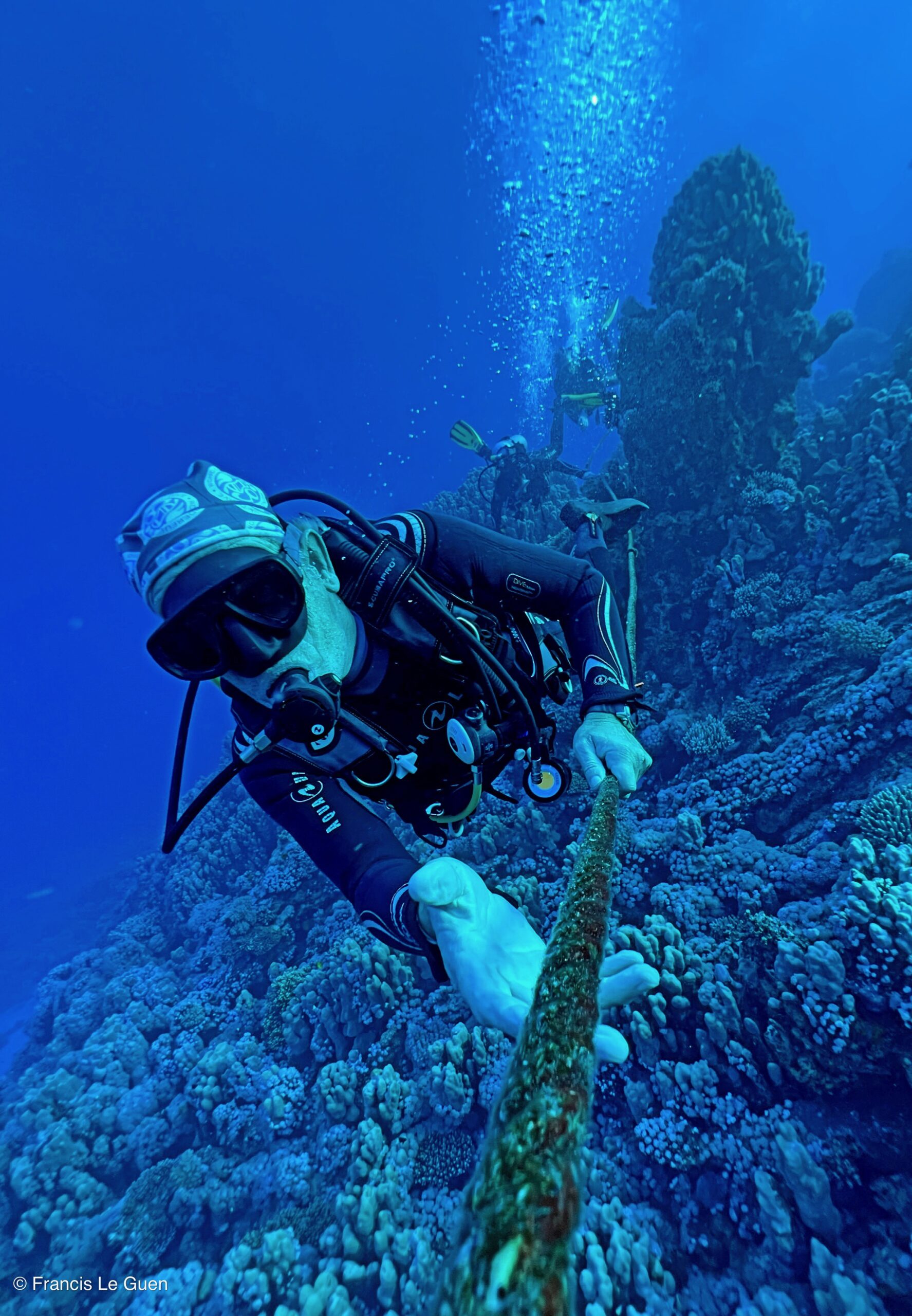 Wonderful Dive : Les plongées au Rohanou à El Qseir en Egypte - Egypte - image, détail, perspective