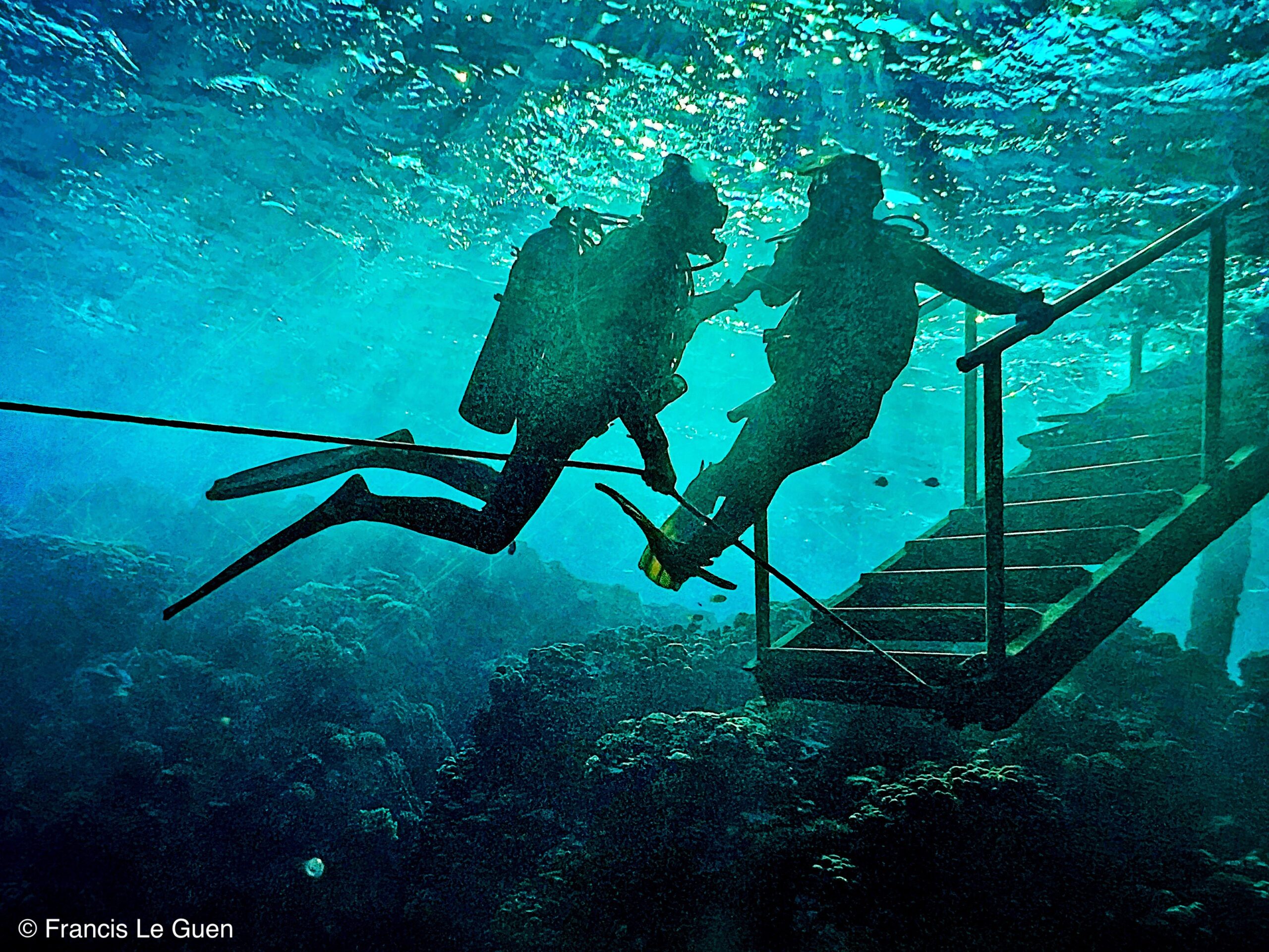 Wonderful Dive : Les plongées au Rohanou à El Qseir en Egypte - Egypte - image, détail, perspective