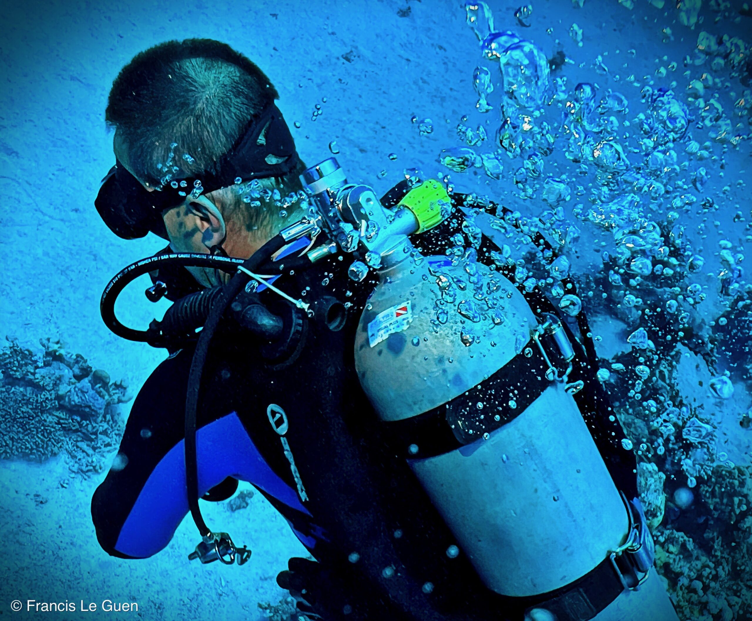 Wonderful Dive : Les plongées au Rohanou à El Qseir en Egypte - Egypte - image, détail, perspective