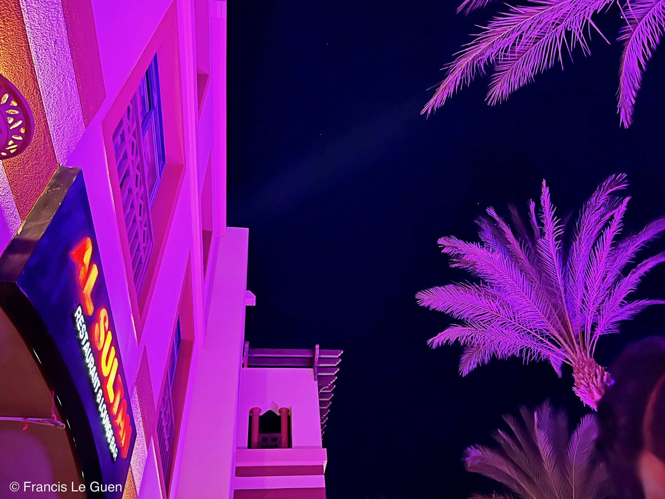 Wonderful Dive : nouveau centre de plongée francophone à Port Ghalib en Egypte - Egypte - image, création, netteté