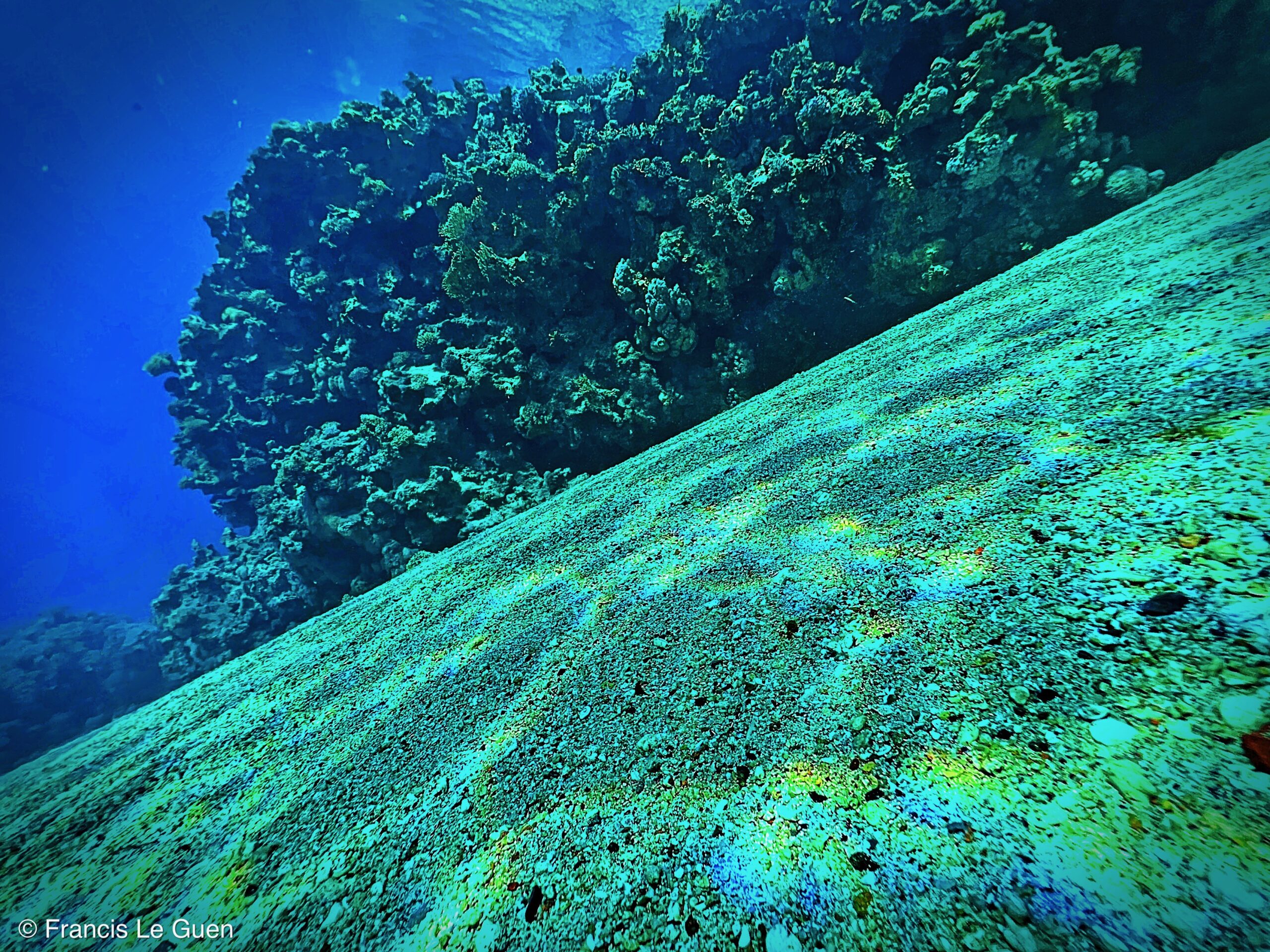 Wonderful Dive : nouveau centre de plongée francophone à Port Ghalib en Egypte - Egypte - image, création, netteté