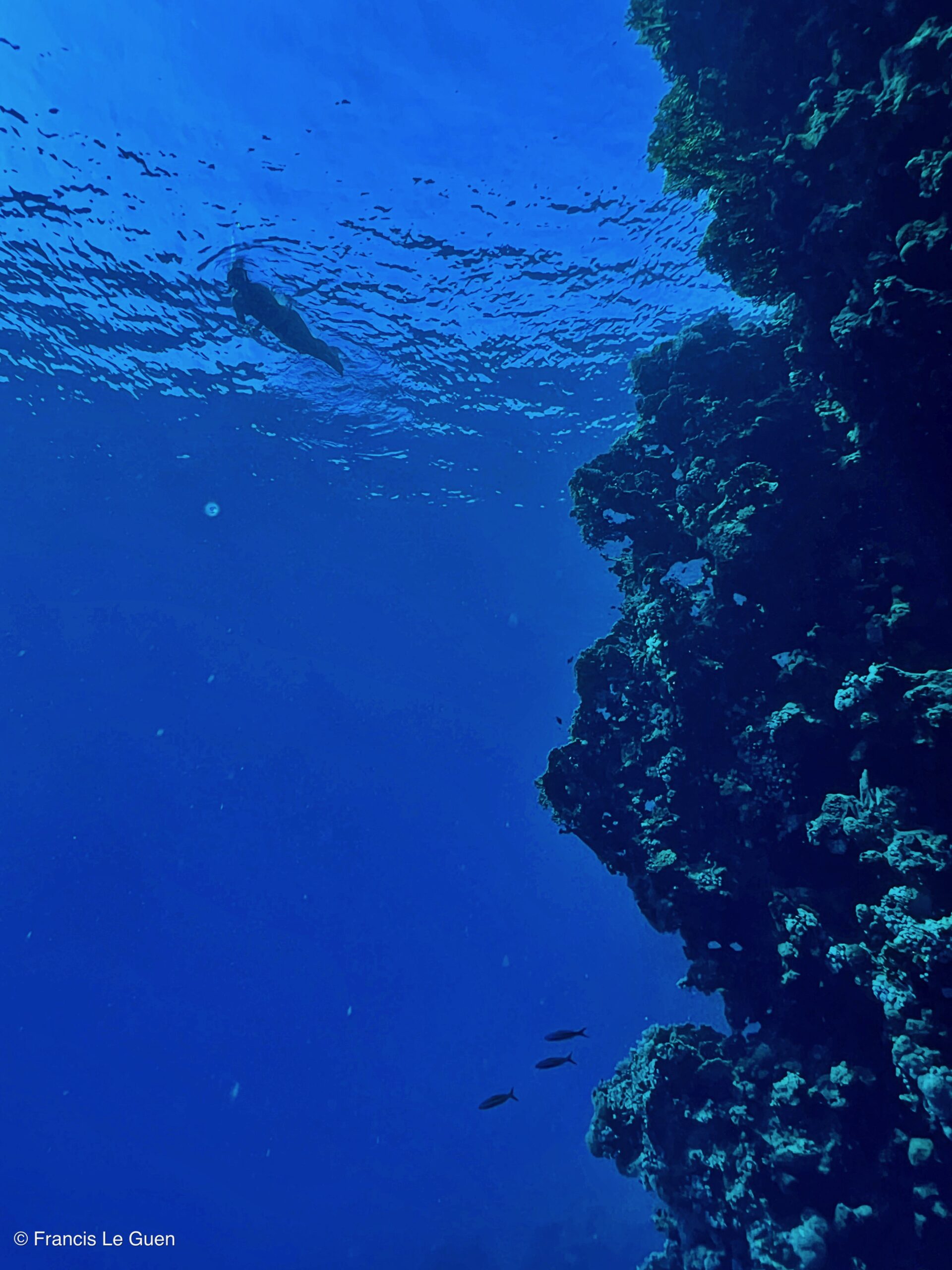 Wonderful Dive : nouveau centre de plongée francophone à Port Ghalib en Egypte - Egypte - image, création, netteté