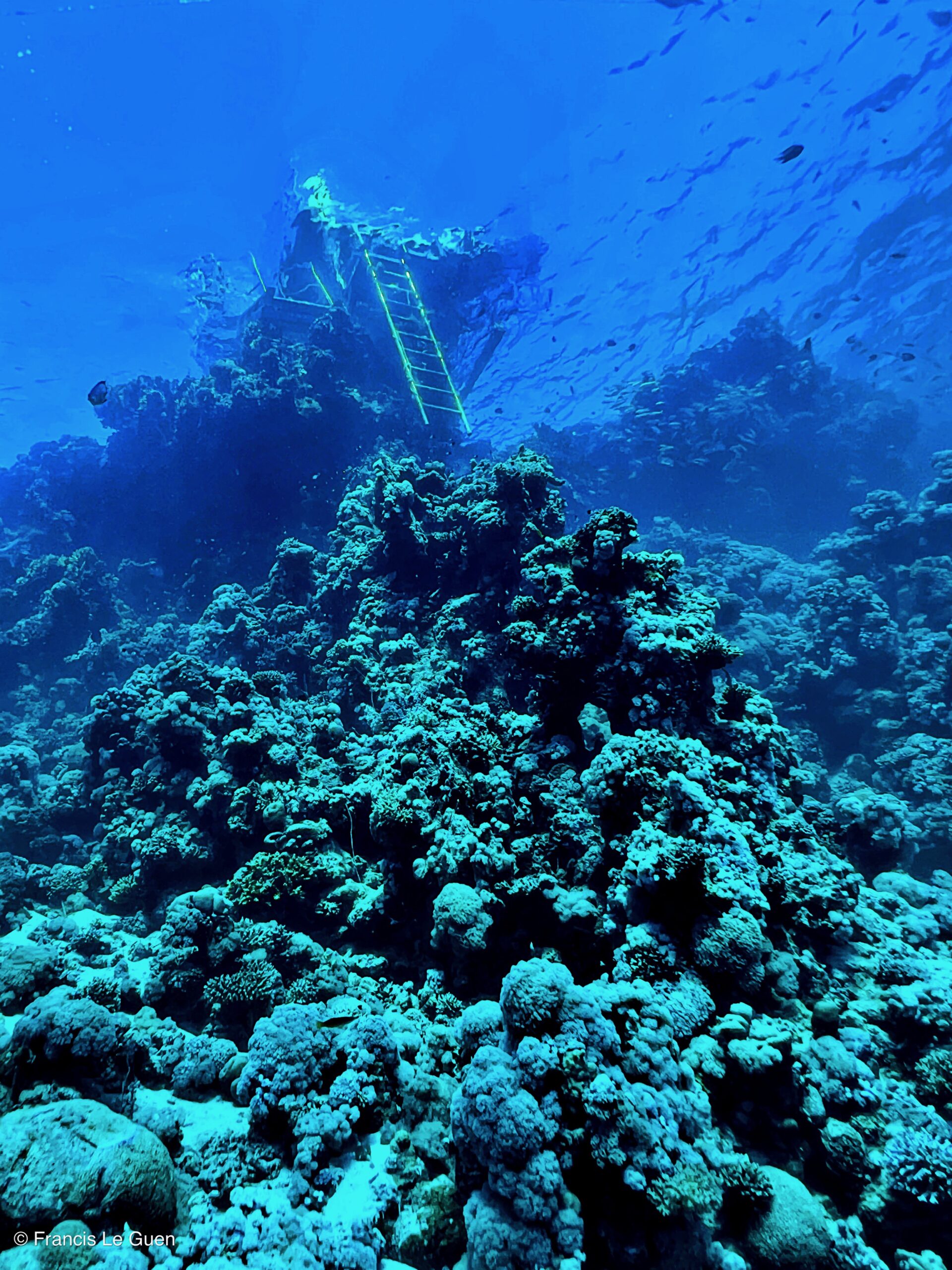 SeaTouch 4 DiveVolk : la photo sous marine avec un smartphone ! - Egypte - visuel, perspective, couleur