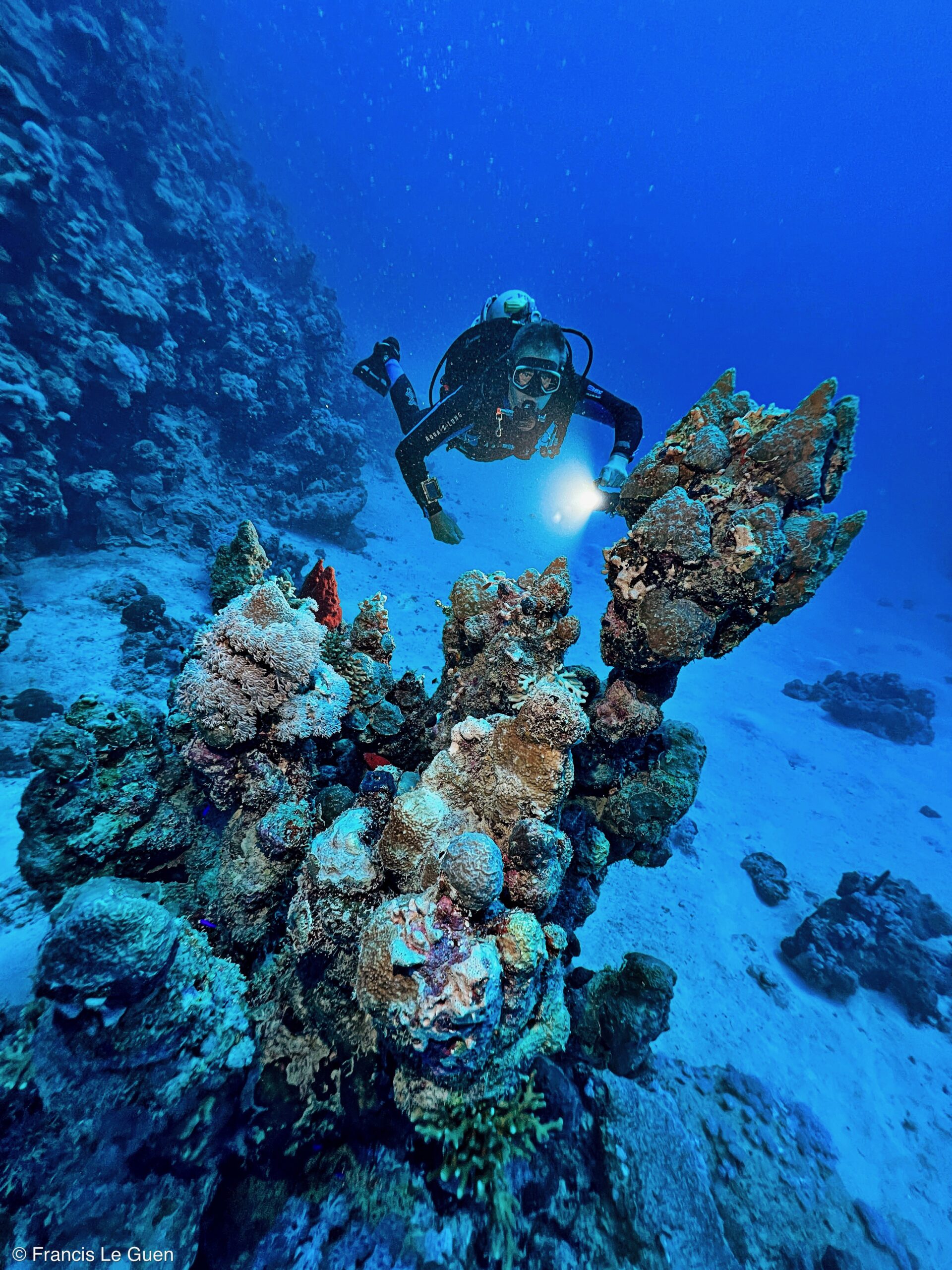 Wonderful Dive : nouveau centre de plongée francophone à Port Ghalib en Egypte - Egypte - image, création, netteté