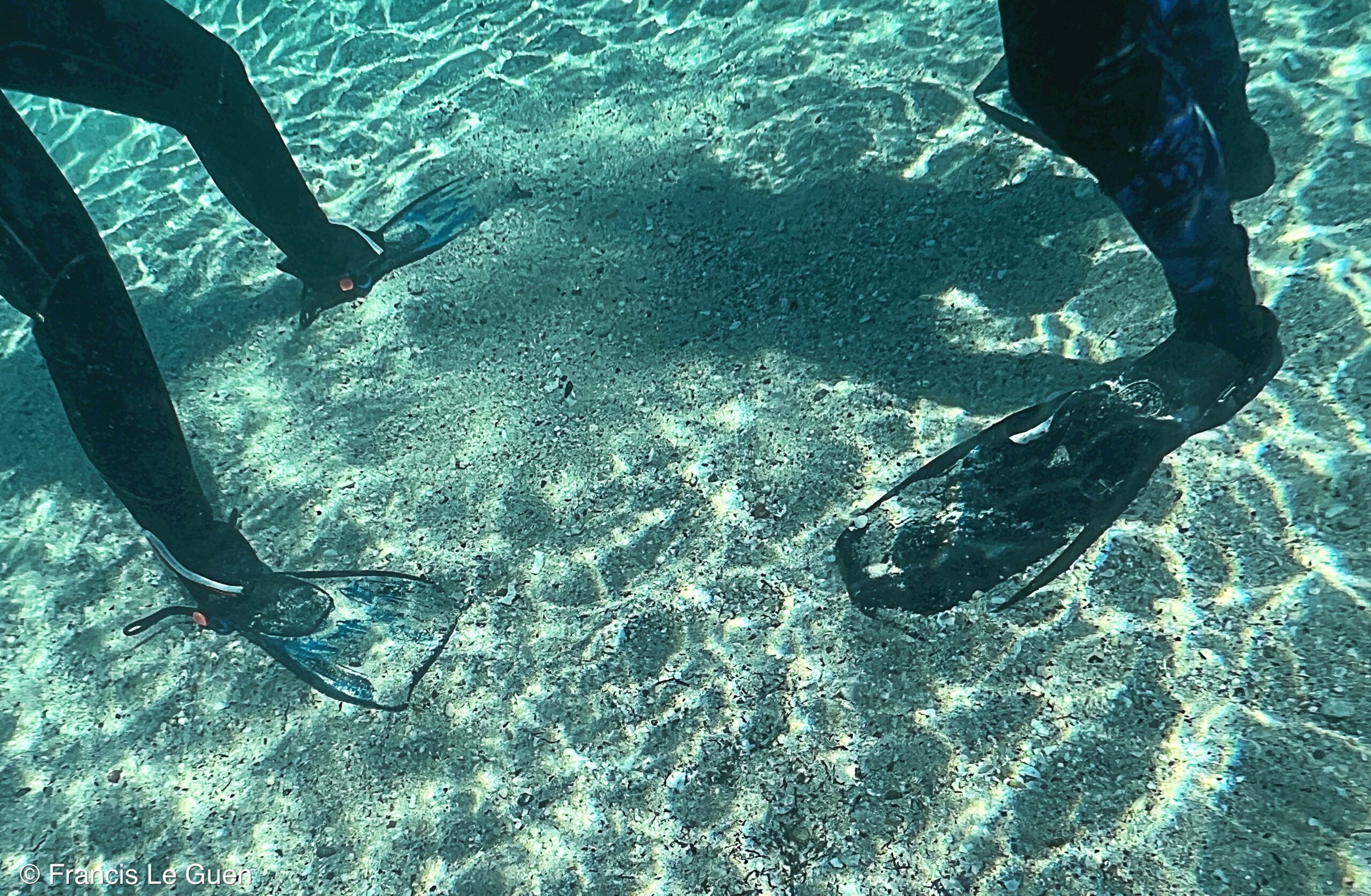 Wonderful Dive : nouveau centre de plongée francophone à Port Ghalib en Egypte - Egypte - image, création, netteté