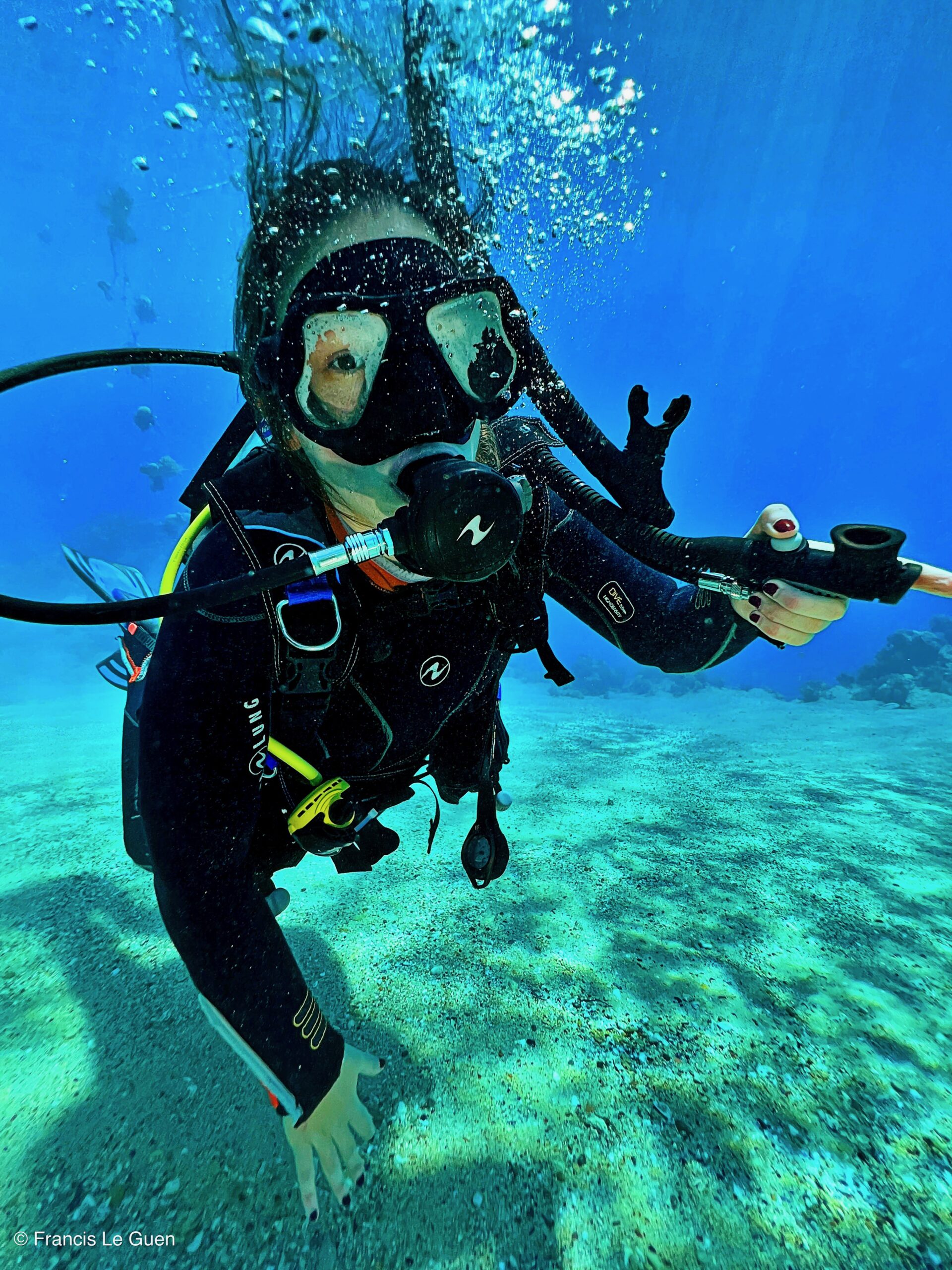 Wonderful Dive : nouveau centre de plongée francophone à Port Ghalib en Egypte - Egypte - image, création, netteté