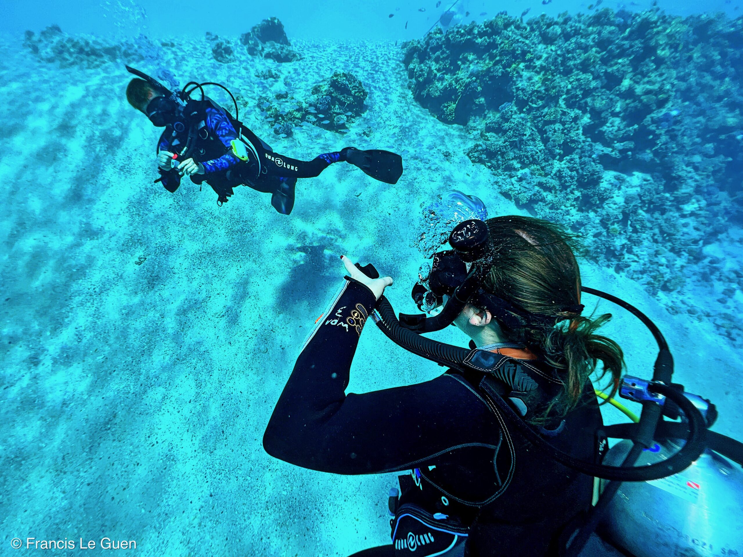Wonderful Dive : nouveau centre de plongée francophone à Port Ghalib en Egypte - Egypte - image, création, netteté